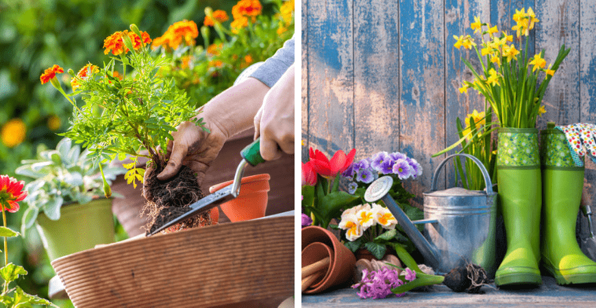 Handgereedschap online bestellen bij Poppelaars tuincentrum