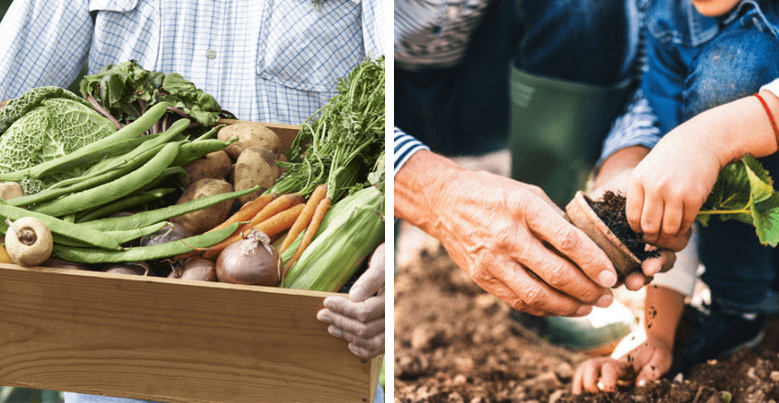 Moestuin benodigdheden online bestellen bij Tuincentrum Poppelaar