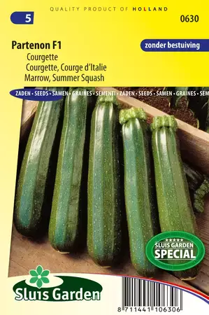 Courgette partenon f1