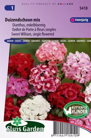 Dianthus barbatus enkel gemengd