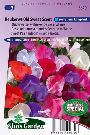 Lathyrus old sweet scent mix