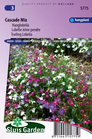 Lobelia erinus pendula cascade mix