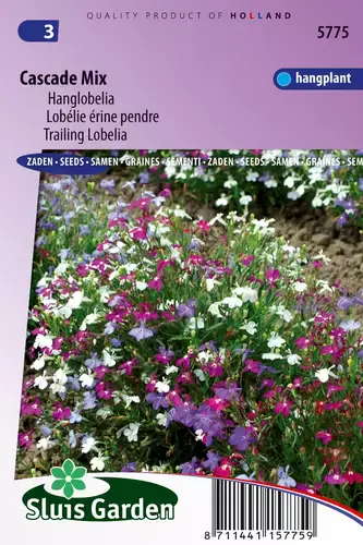 Lobelia erinus pendula cascade mix