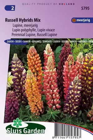 Lupinus polyph. russell hybrids mix