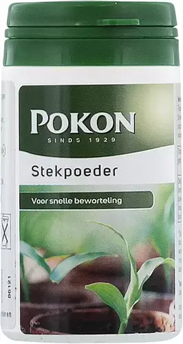 Stekpoeder 25g