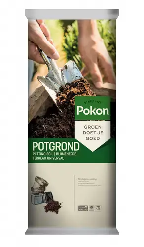 Potgrond rhp 70l