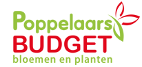 Poppelaars Tuincentrum voor kwaliteit huis en tuin producten tegen een scherpe prijs!